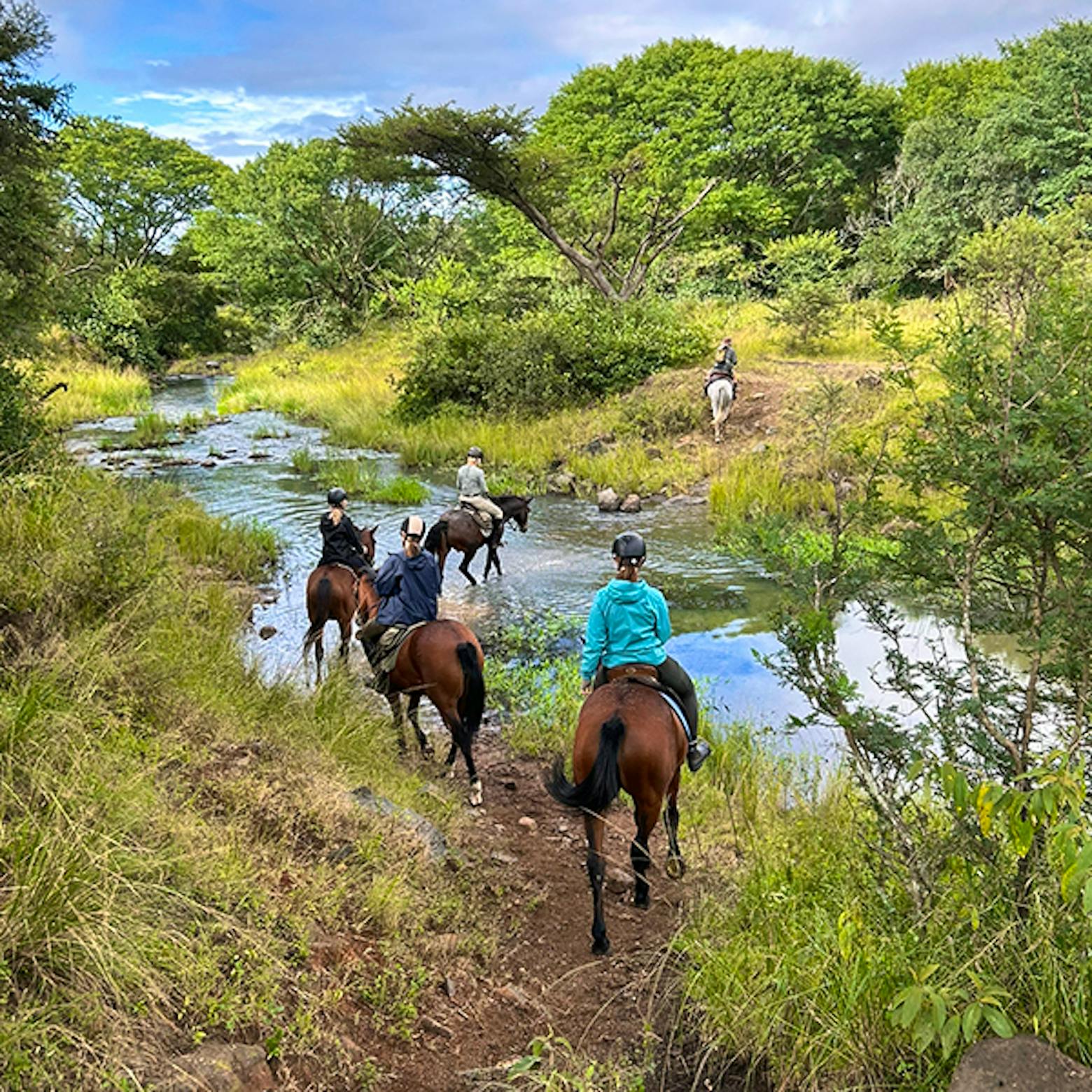 Horse Riding & Wildlife Conservation Volunteer in Zimbabwe 2024