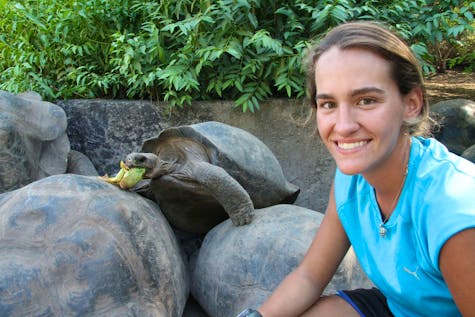  Assistant in a Giant Tortoise Breeding Center
