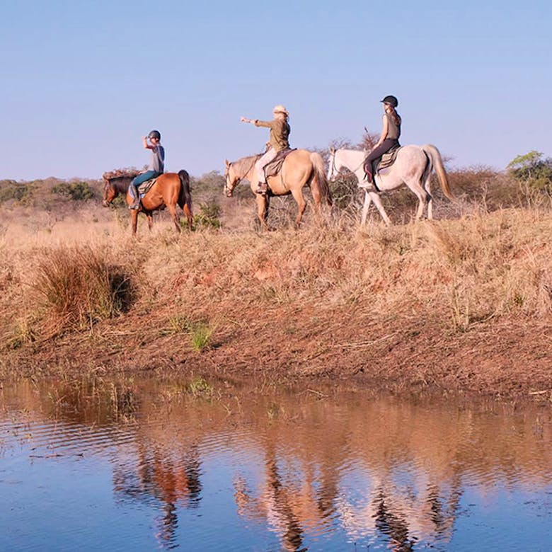 Horse Riding & Wildlife Conservation Volunteer in Zimbabwe 2024