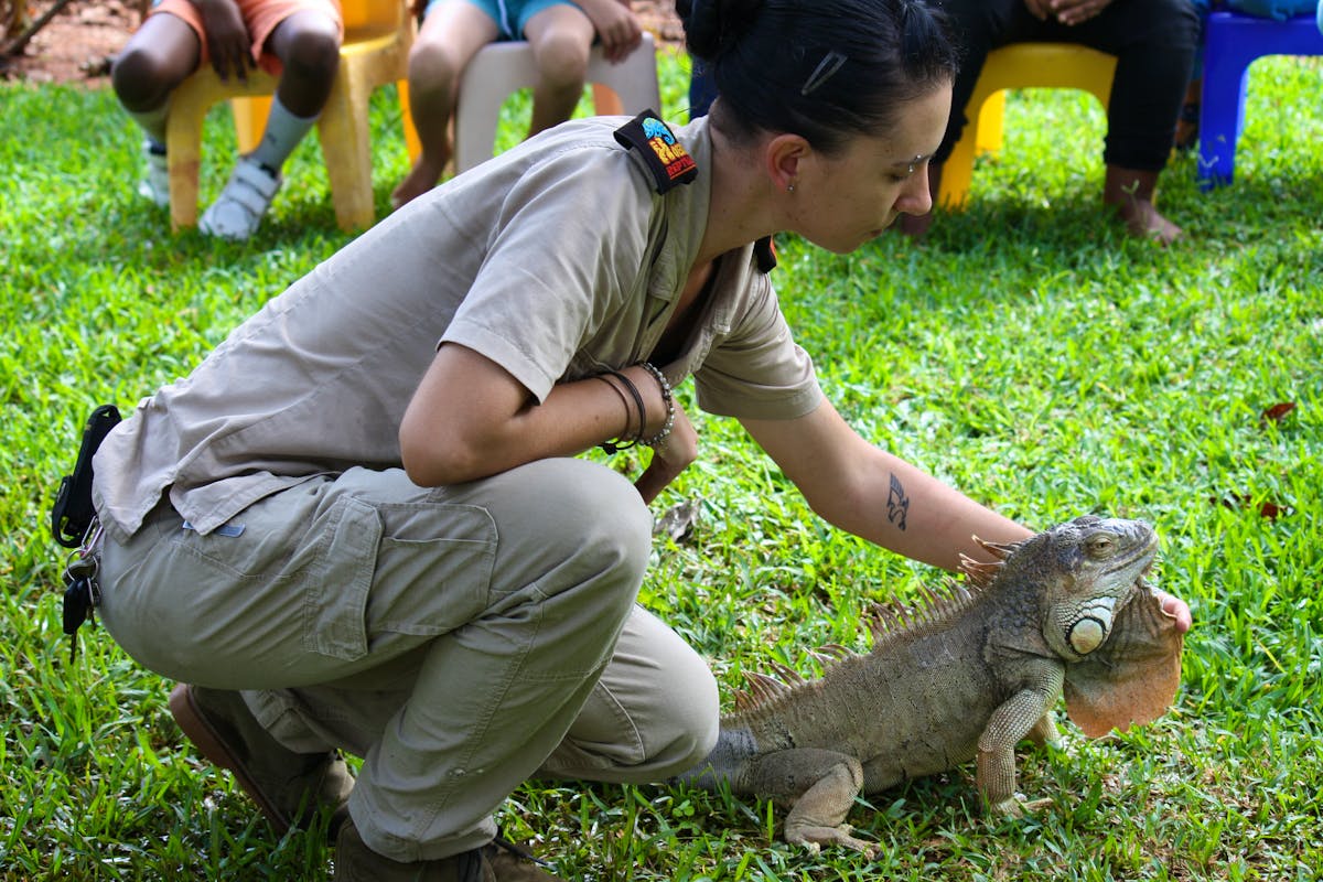 Reptile Vet Sanctuary Volunteer in South Africa 2024