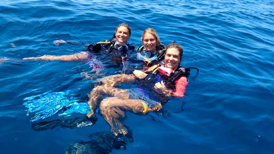 Marine Conservation & PADI Diving Internship