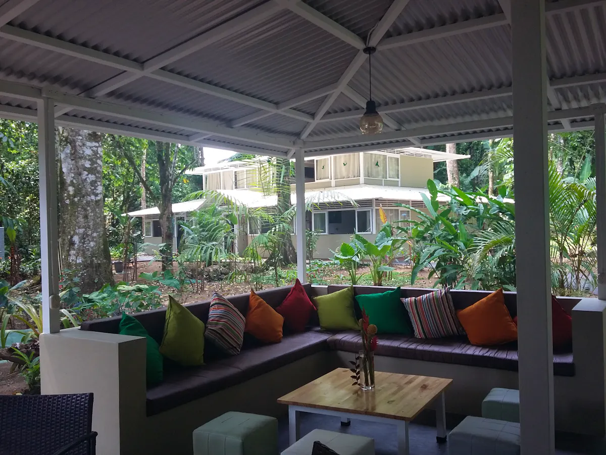 Animal Rescue & Release Center Volunteer in Costa Rica 2024