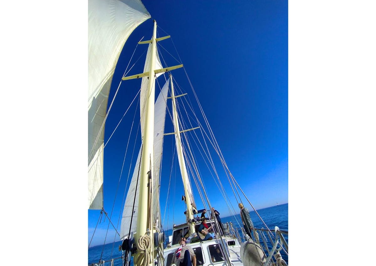 Marine Research Expedition Volunteer in Greece 2024