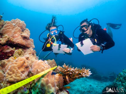  Coral Restoration and Marine Conservation
