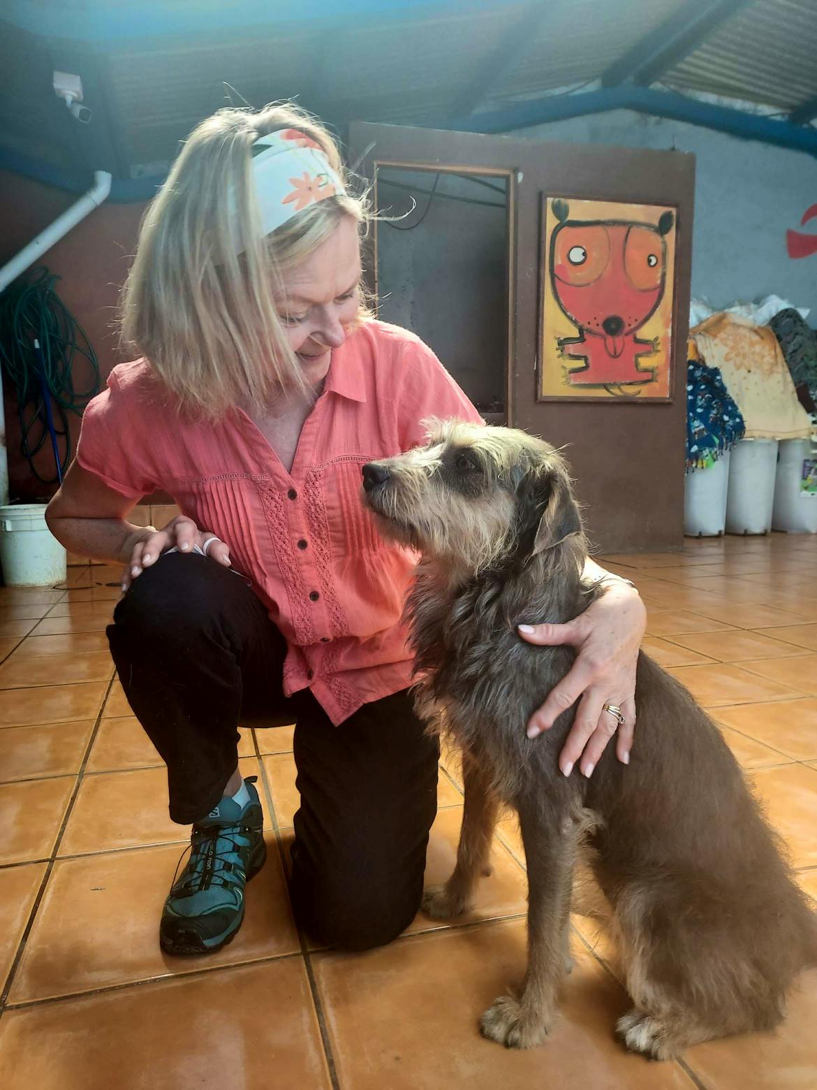 Animal Care and Rehabilitation Volunteer in Costa Rica 2024