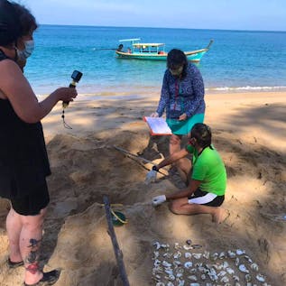  Sea Turtle and Island Conservation Helper