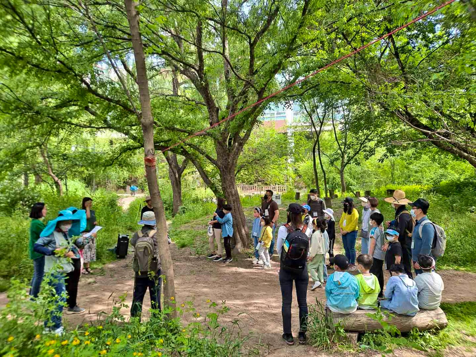 ecological-park-conservation-volunteer-in-south-korea-2023