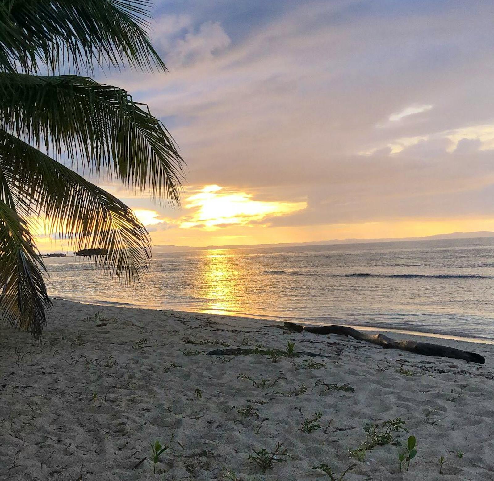 Cultural exchange and school review | Volunteer in Panama 2025
