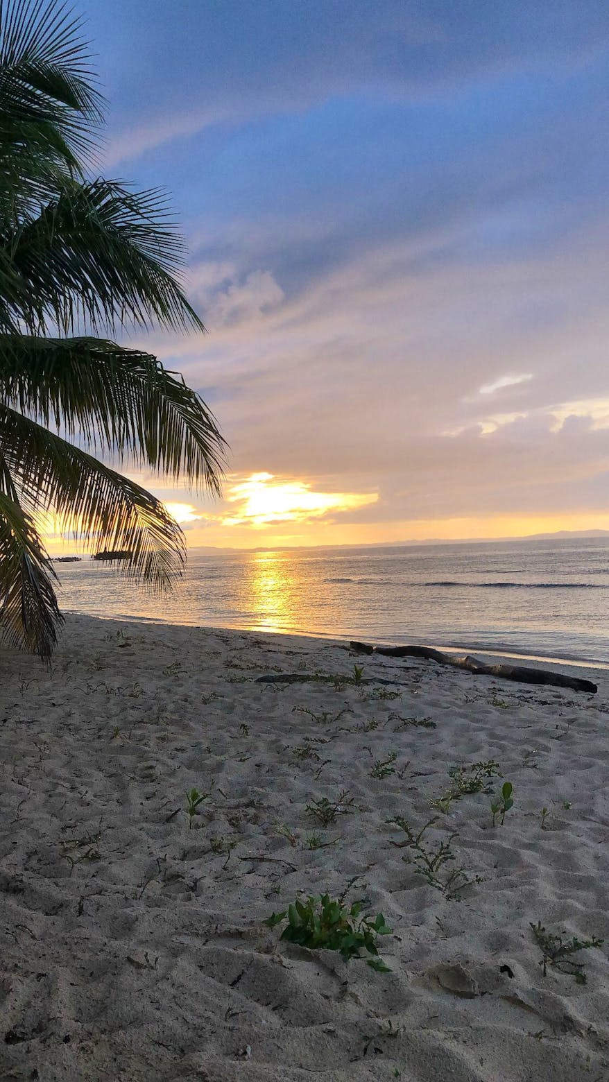 Cultural exchange and school review | Volunteer in Panama 2025