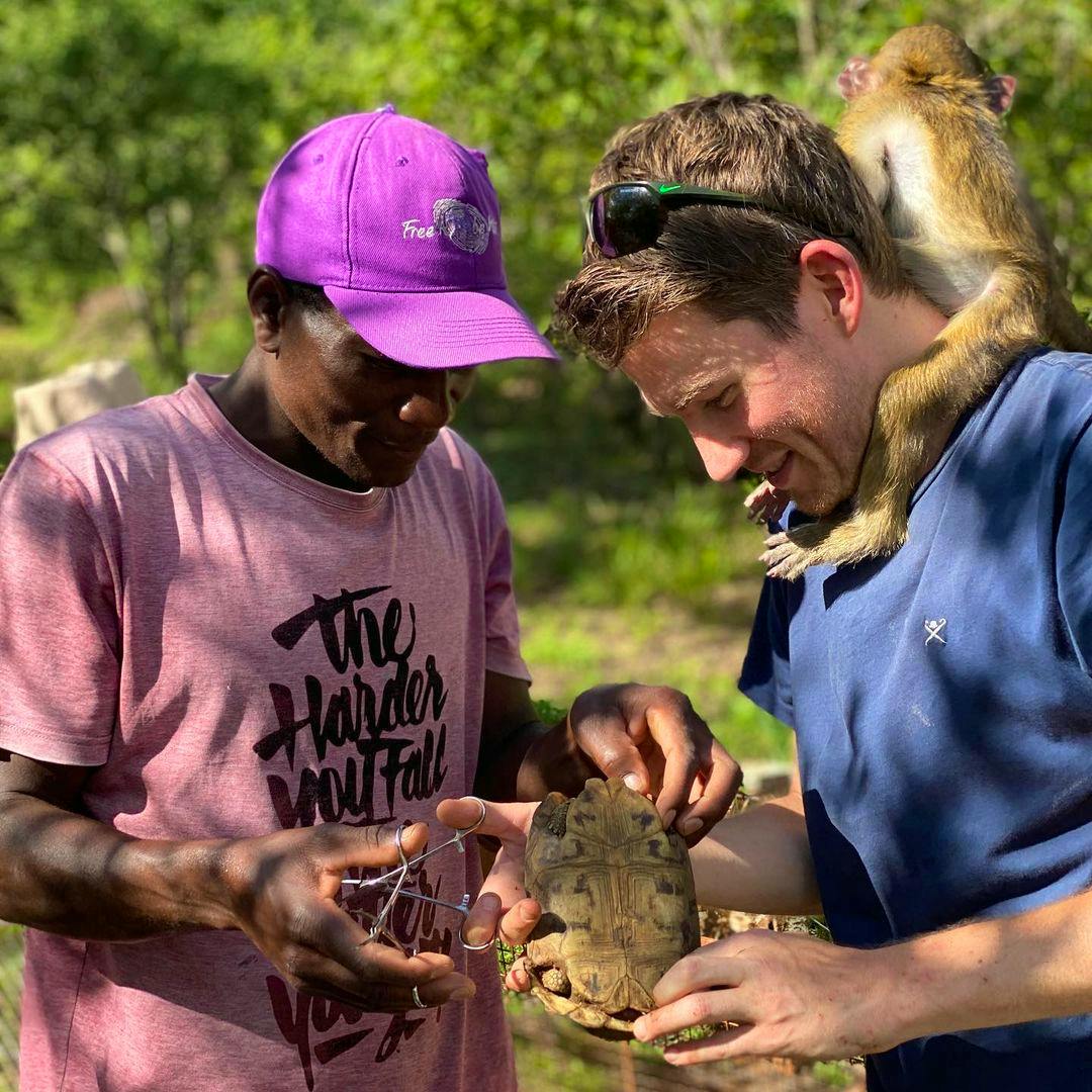 Primate Rescue and Rehabilitation Volunteer in Zimbabwe 2023