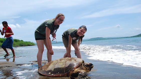 Volunteer in Nicaragua Sea Turtle Conservation Assistance