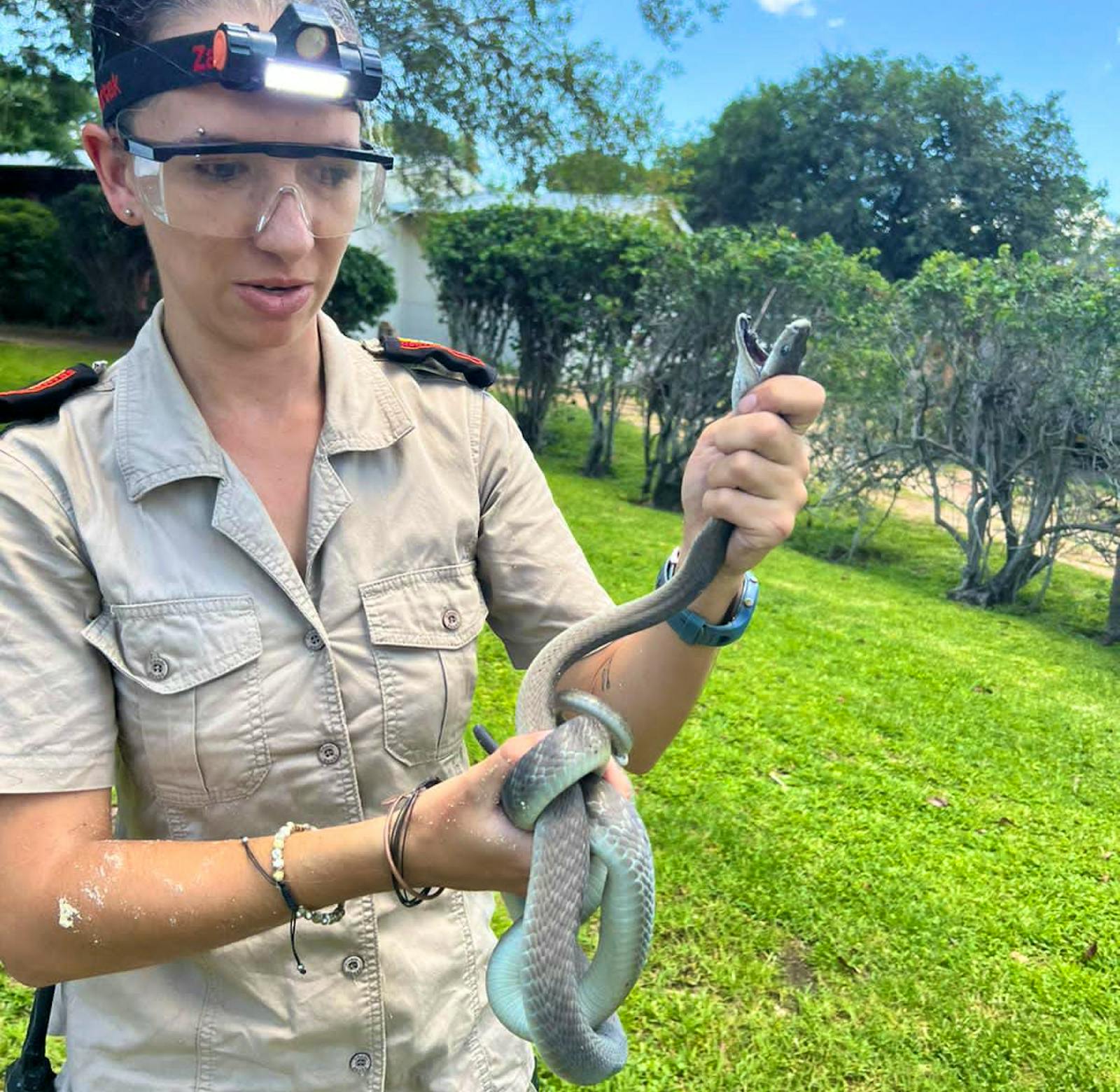 Reptile Vet Sanctuary | Volunteer in South Africa 2024