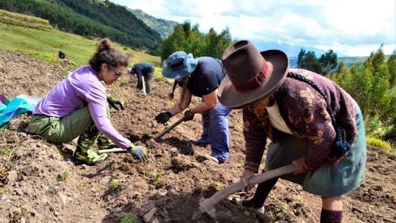Volunteer in Machu Picchu Indigenous Community Immersion