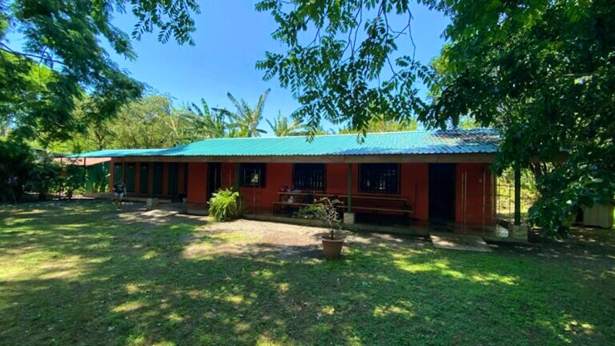 Veterinary Internship With Wildlife Volunteer in Costa Rica 2024