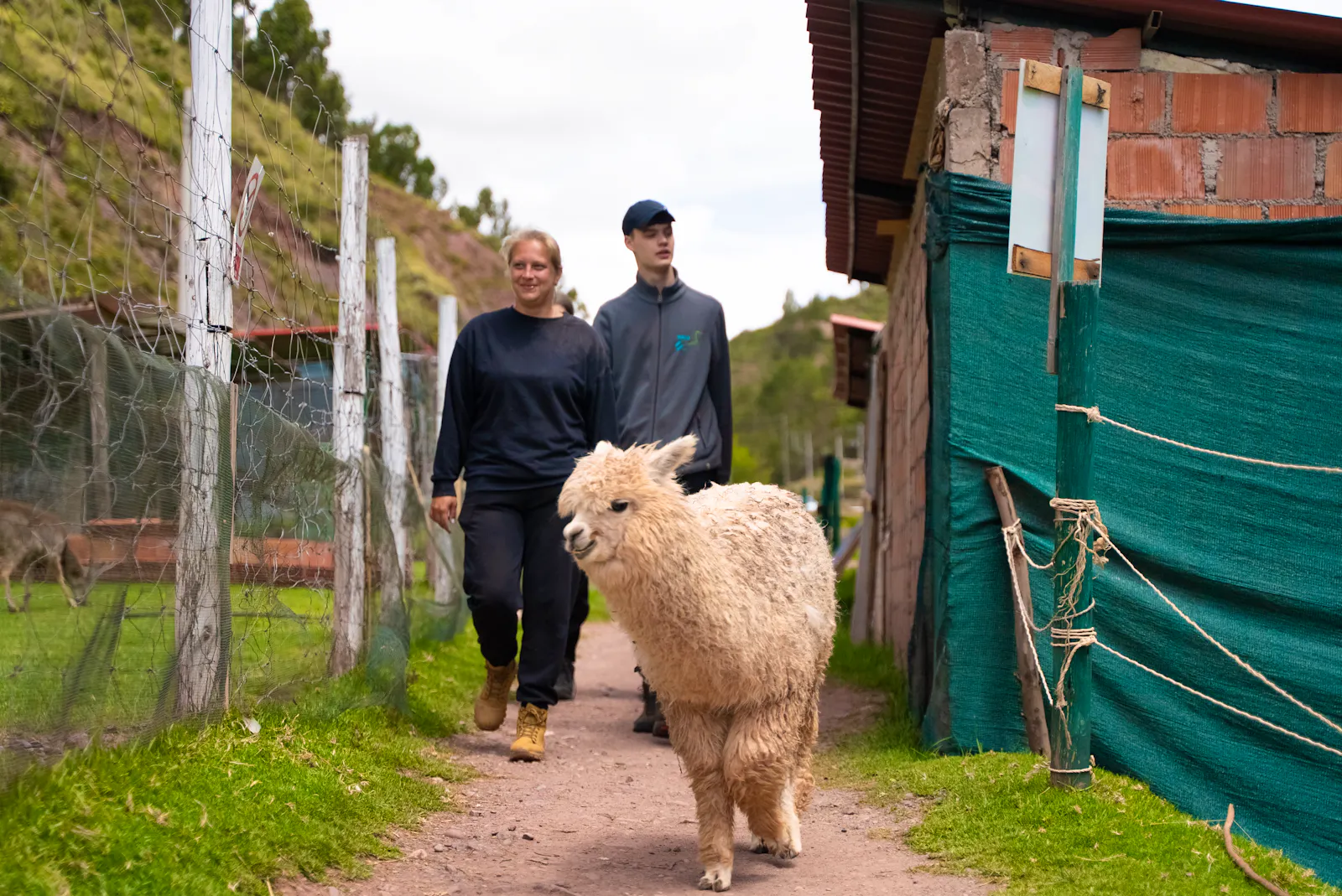 Peru Wildlife Rescue Volunteers | Volunteer in Peru 2025