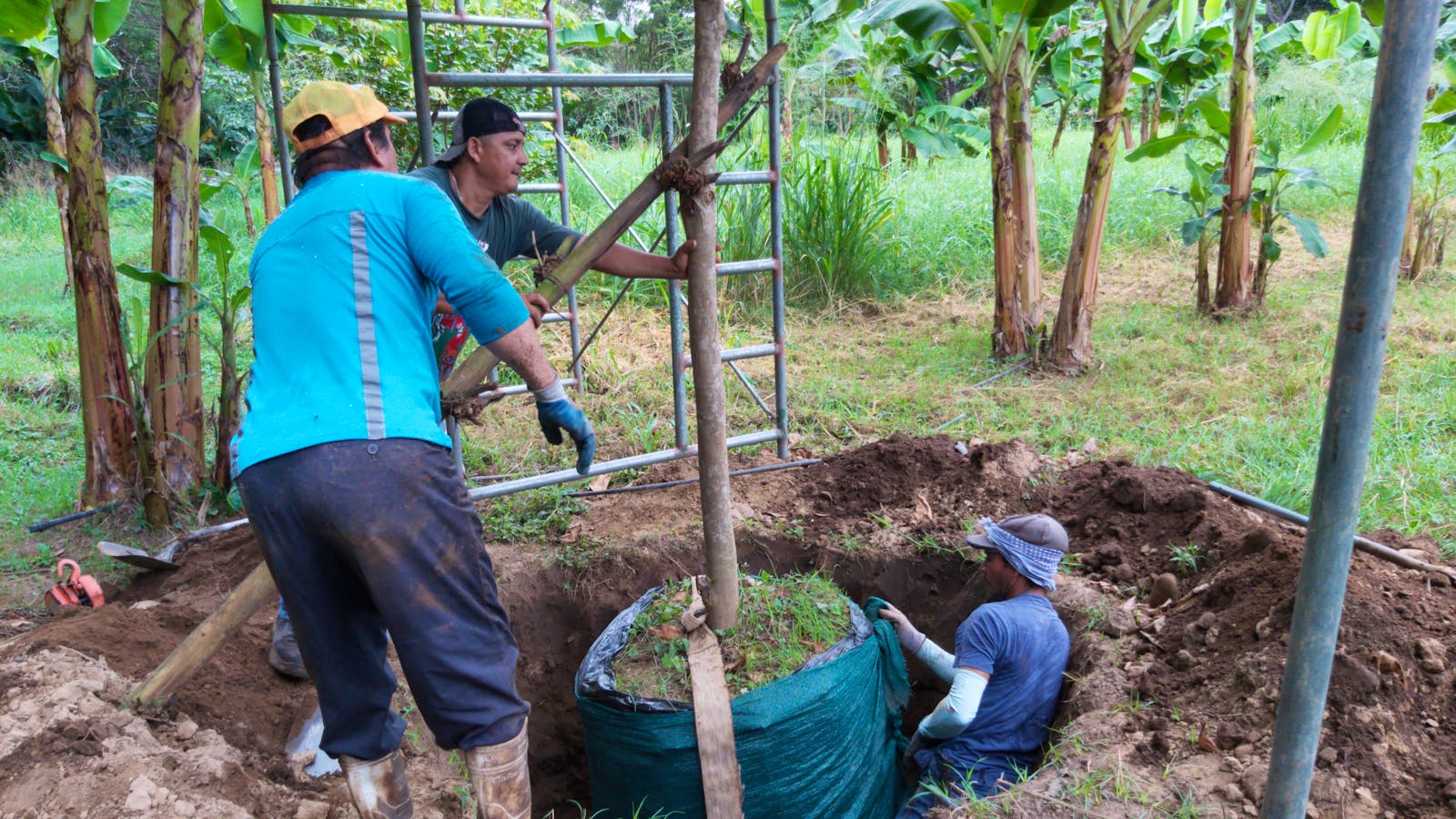Wildlife Conservation Volunteer in Costa Rica Volunteer in Costa Rica