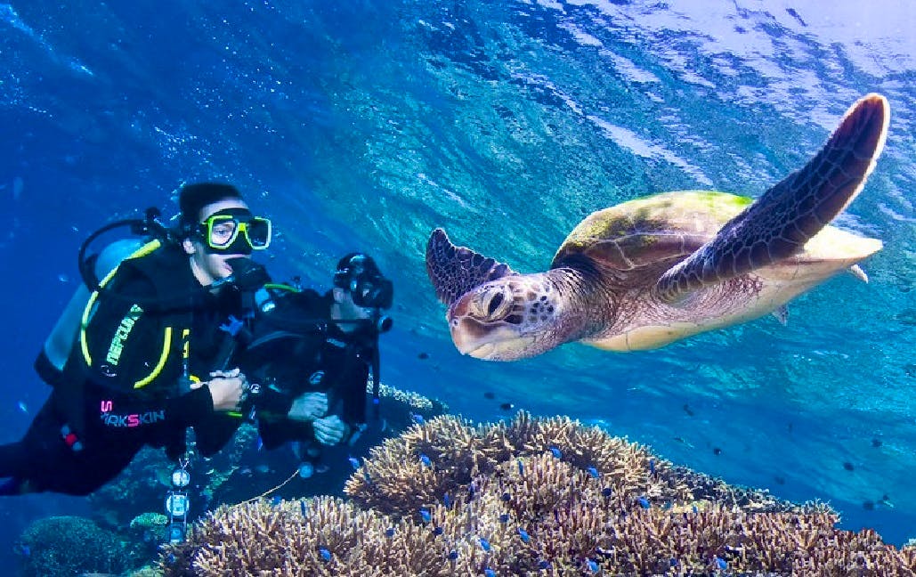Marine conservation volunteers in Australia