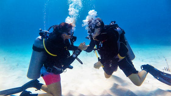 Partnerships For The Goals Marine Conservation Expedition with PADI Training