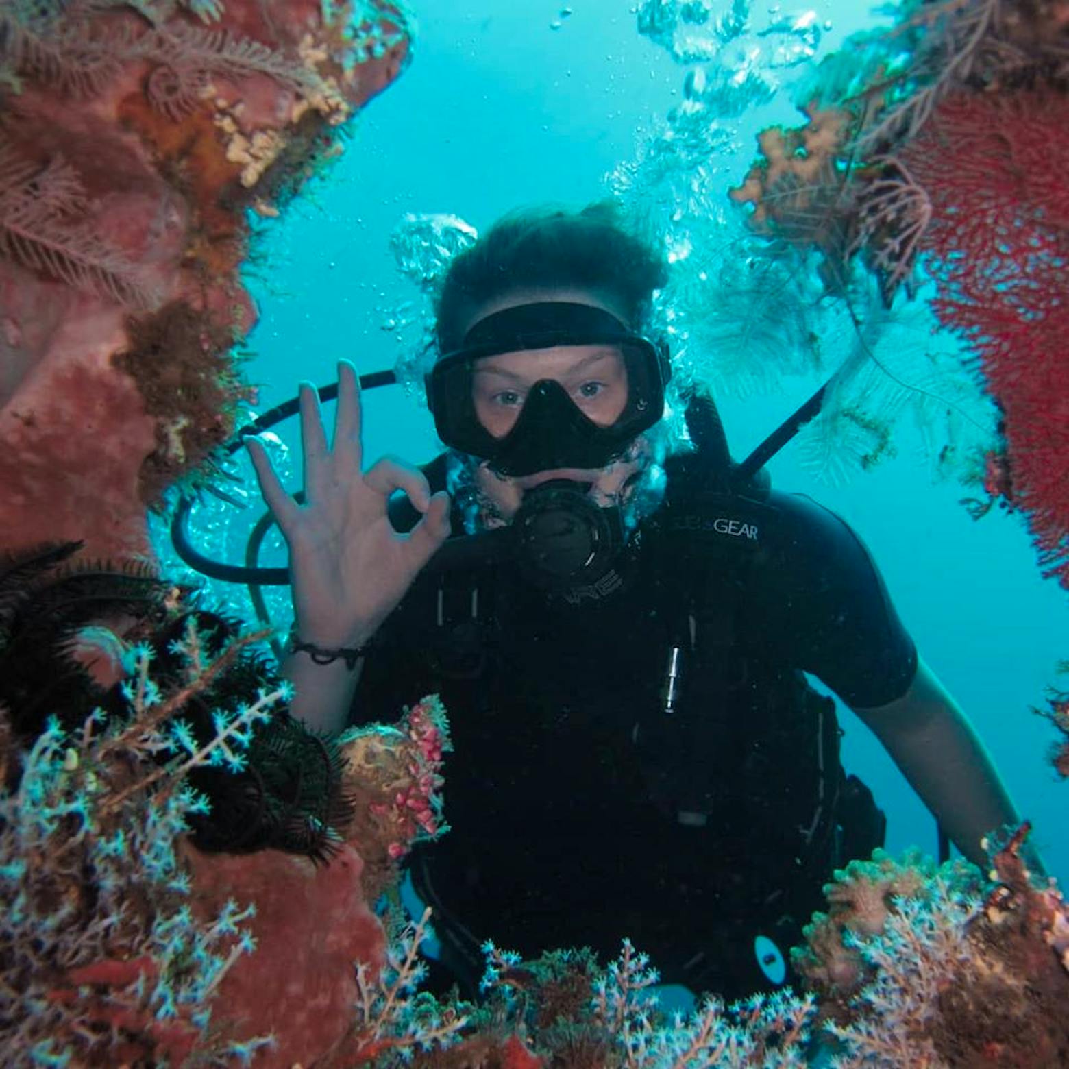 Coral Reef Restoration Volunteer in Indonesia 2024