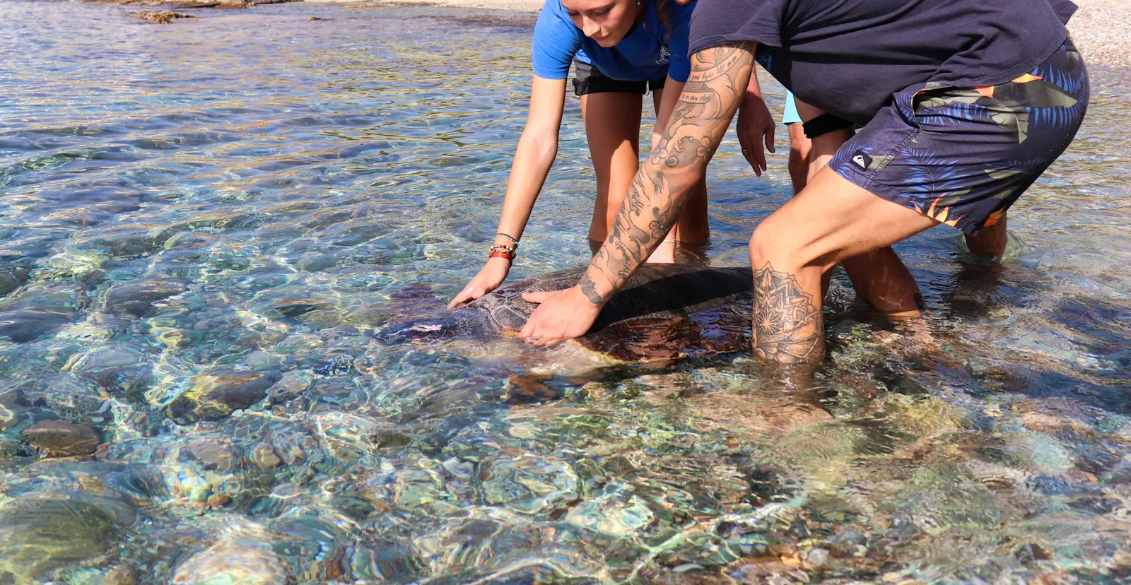 Support Turtle Protection | Volunteer in Greece 2025