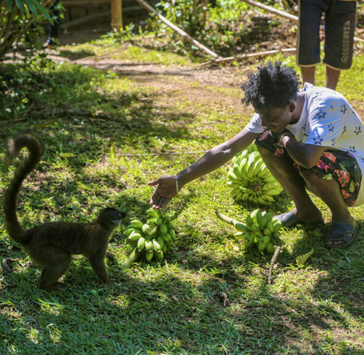 Lemur Conservation Associate | Volunteer in Madagascar 2024