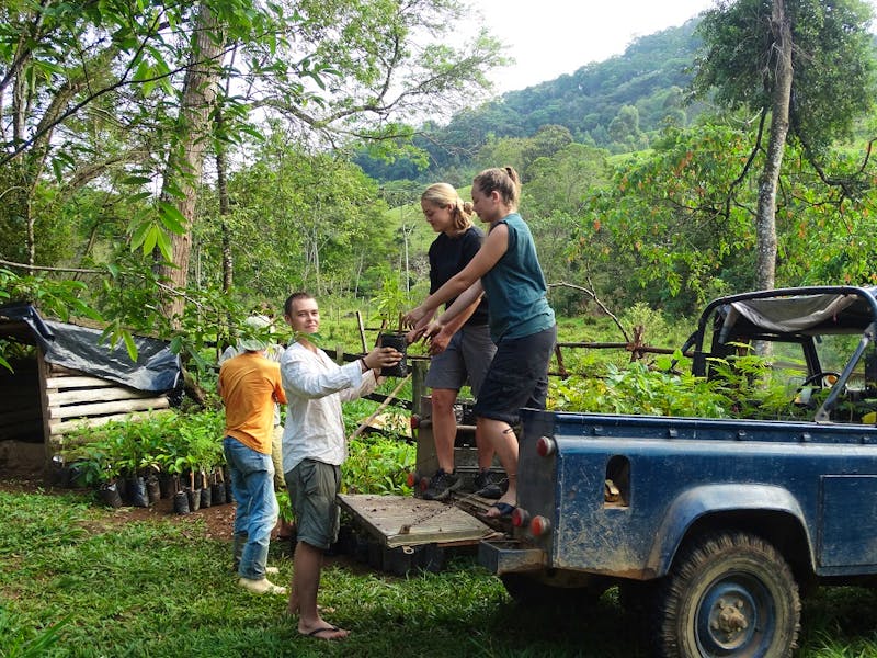 Restoring Brazilian Atlantic Rainforest | Volunteer in Brazil 2024