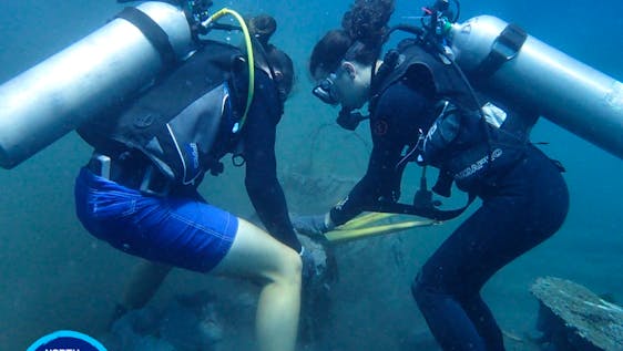 Diving volunteers arranging artificial reef structures under water.