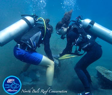 scuba diving volunteer trips