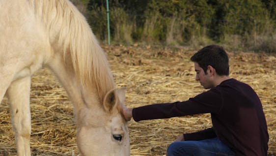 Horse Sanctuary and Farm Assistant