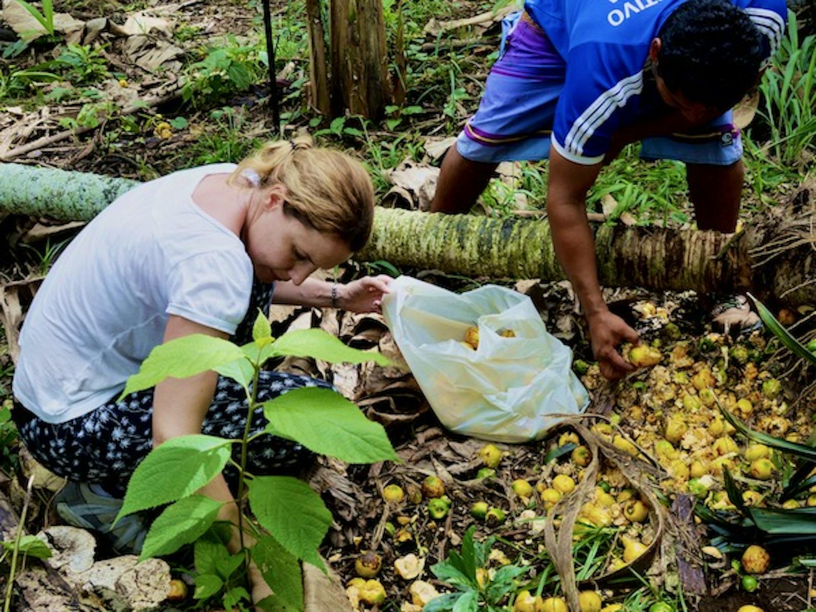 puro-caribe-caribbean-life-volunteer-in-costa-rica-2024
