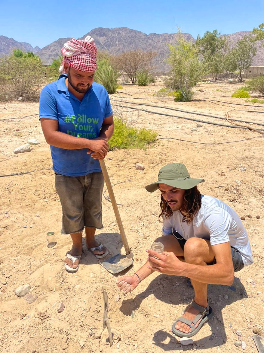 Regenerative Agriculture in Sinai Desert Volunteer in Egypt 2024