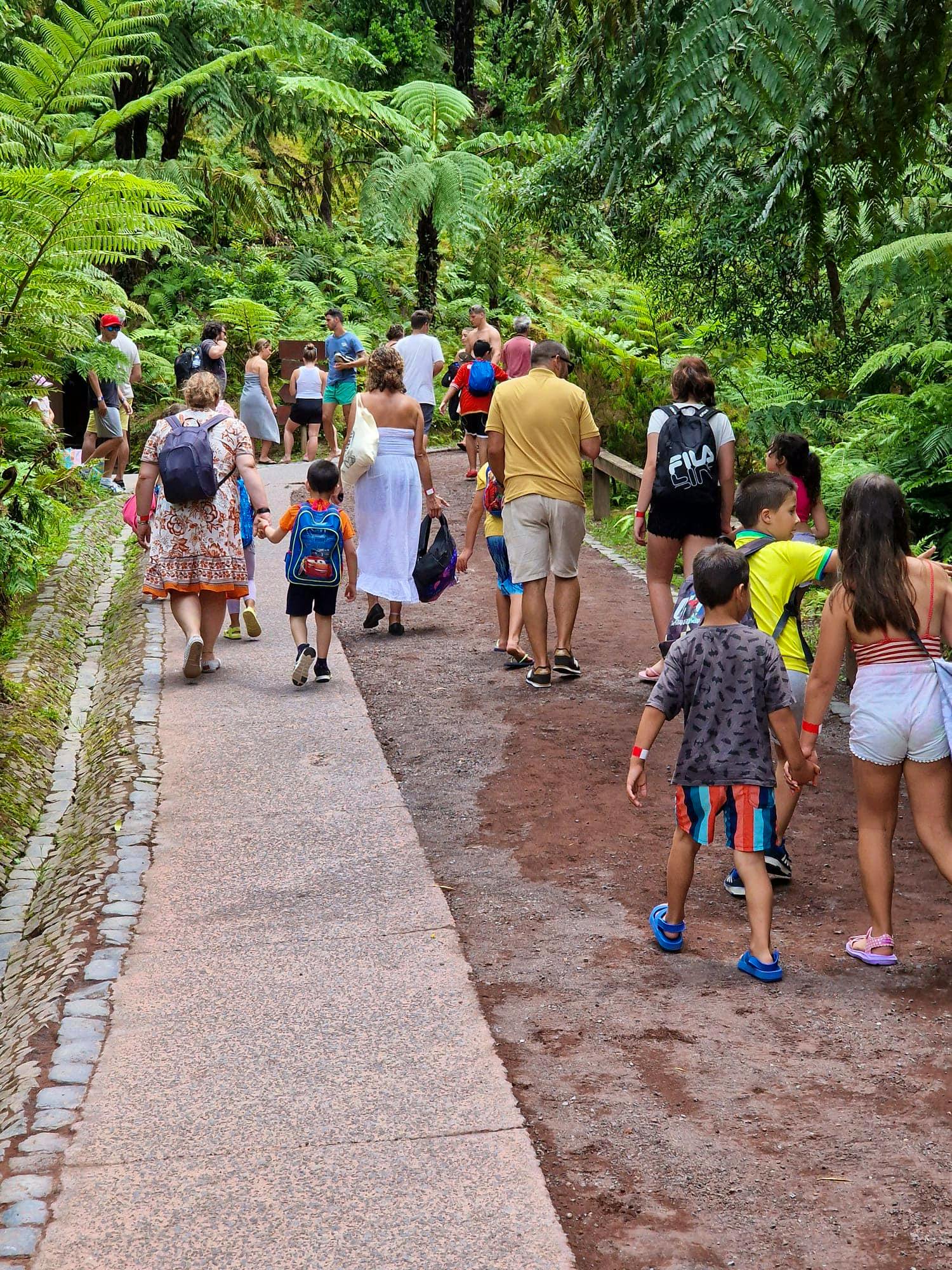 Our volunteers in action. 