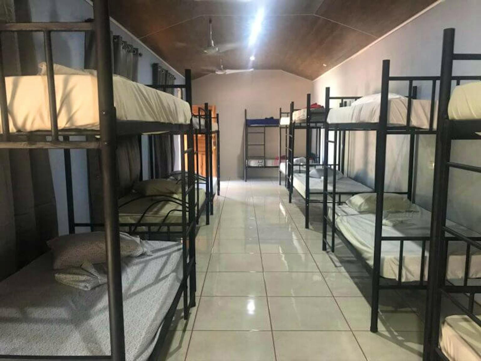 Veterinary Internship With Wildlife Volunteer in Costa Rica 2024