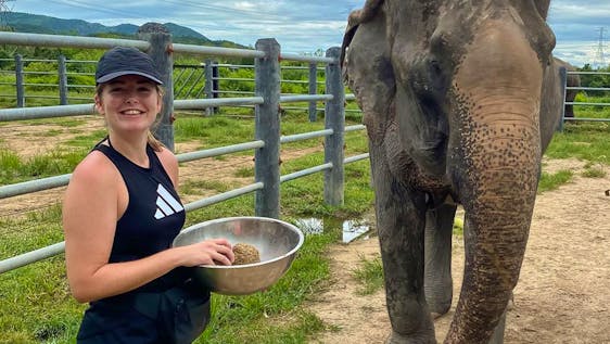 Freiwilligenarbeit mit Asiatischen Elefanten Elephant's Caretaker Assistant