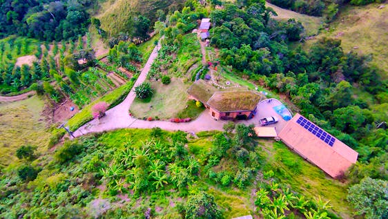 Stages in Brazilië SHORT TERM - in a self-sustaining Eco Farm