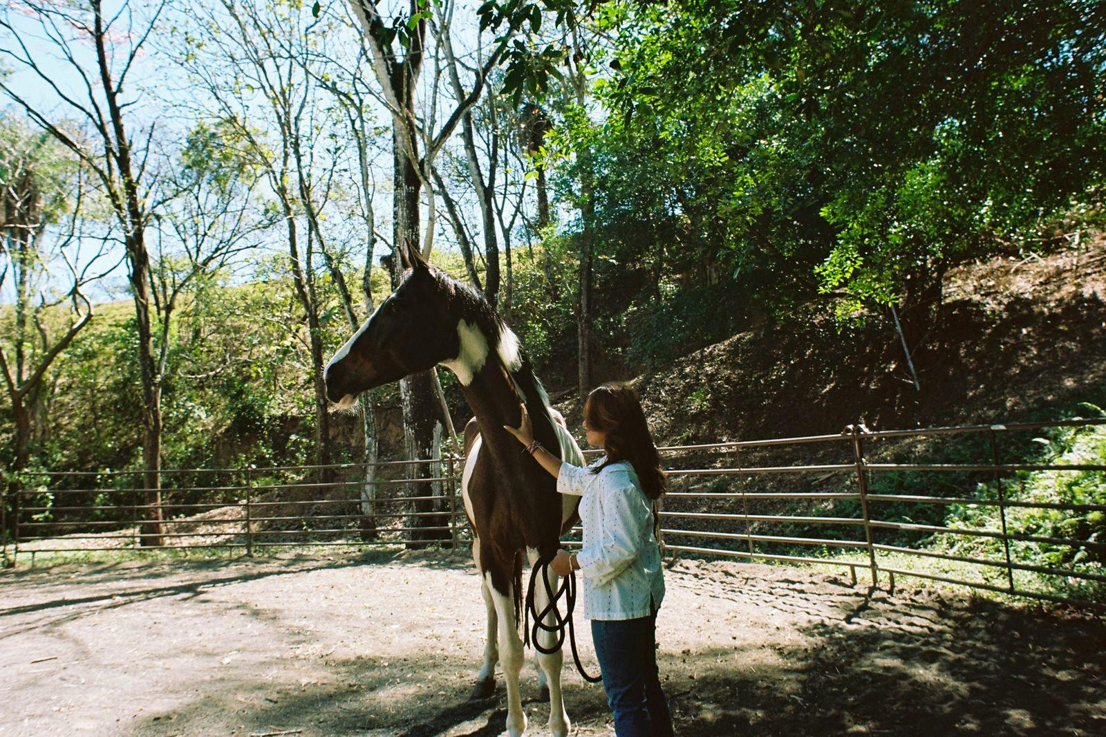 Learn about horsemanship and understanding horse behavior. Veterinary shadowing.