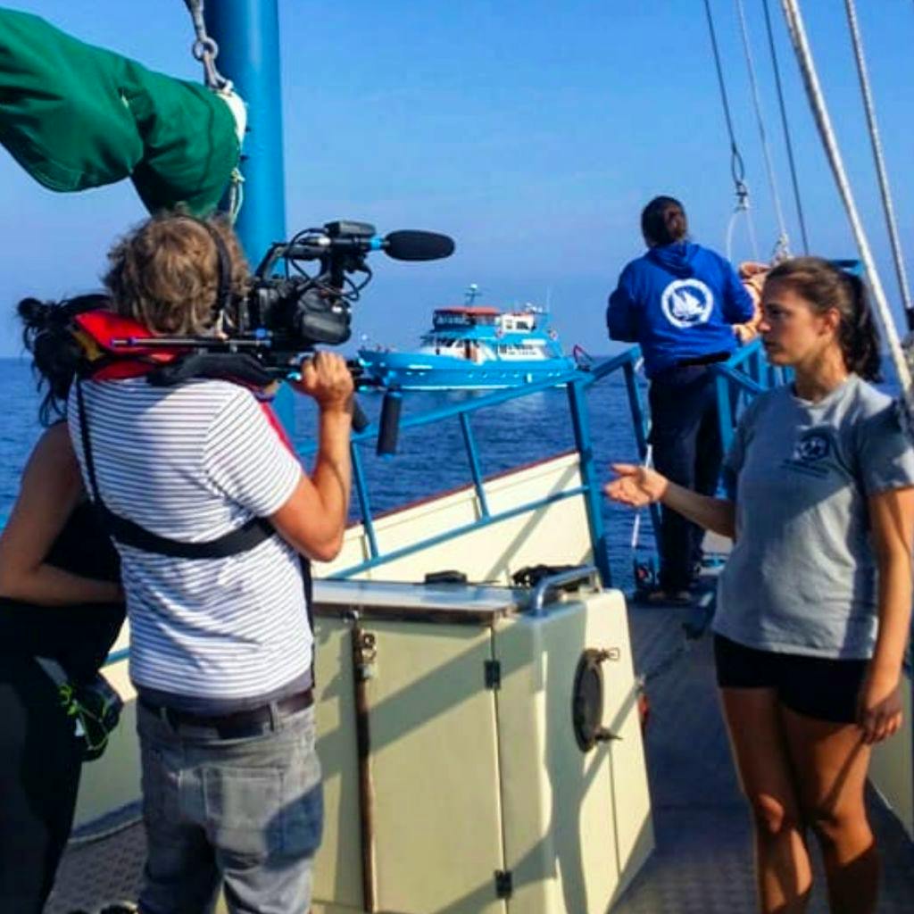 Work on documentary photography, video production, illustrations, graphic design