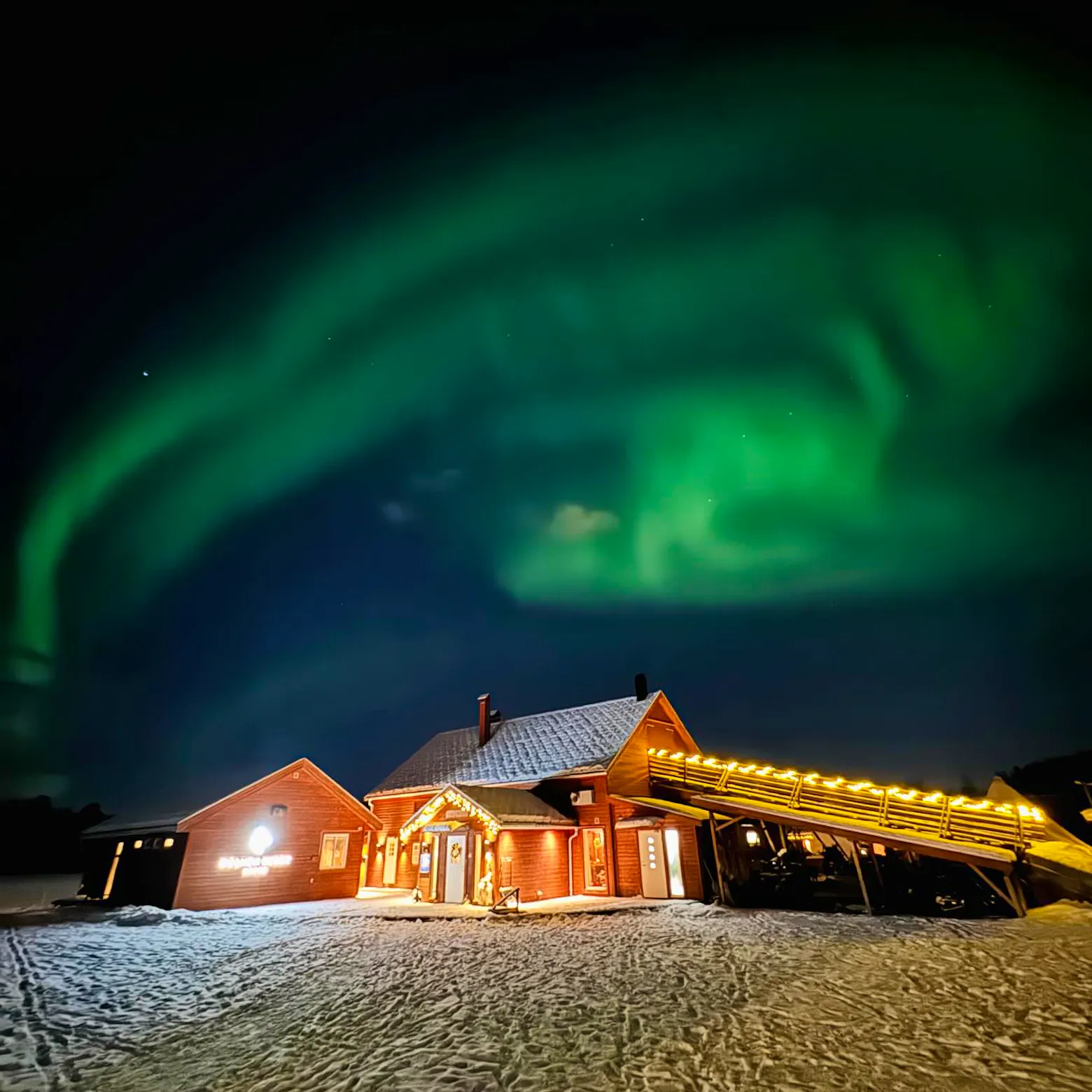 Arctic Husky Ranch Caretaker | Volunteer in Norway 2025