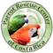 Parrot Rescue Center