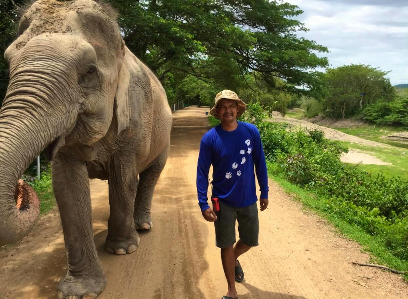 Elephant Conservation Worker Volunteer in Thailand 2025