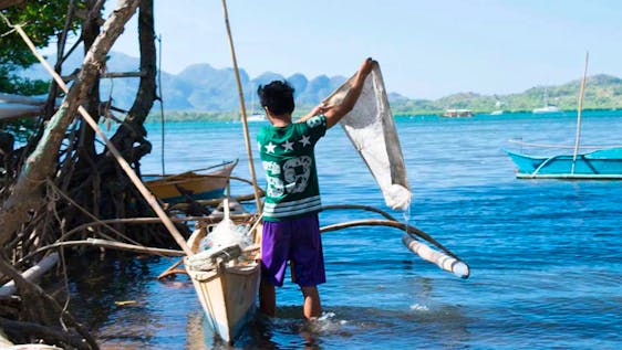 Voluntariado nas Filipinas Support Local Fishing and Agriculture