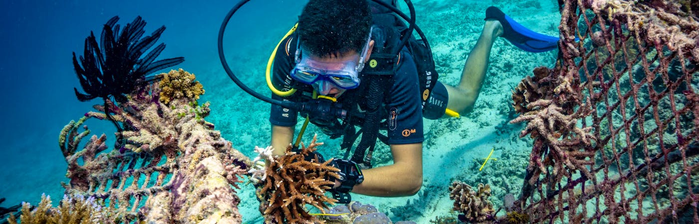 Biorock Coral Reef Restoration