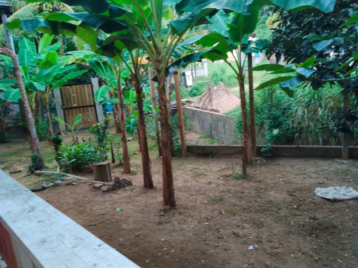 Community Social Work Assistant Volunteer in Honduras 2025