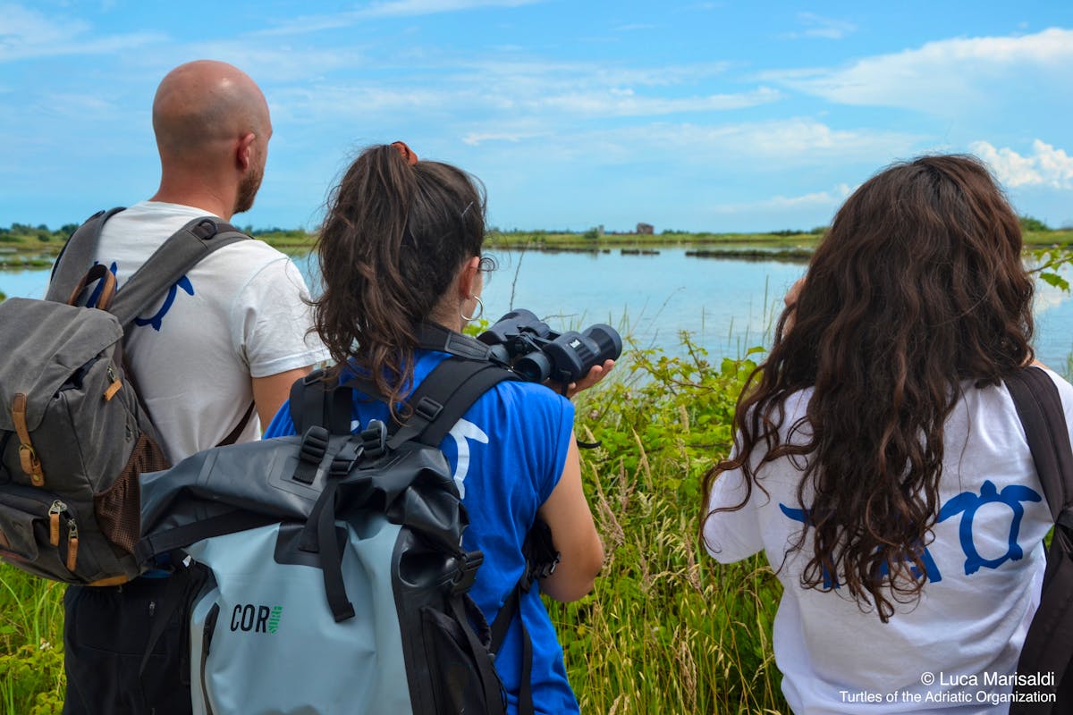 Dolphin & Sea Turtle Conservationist Volunteer in Italy 2024