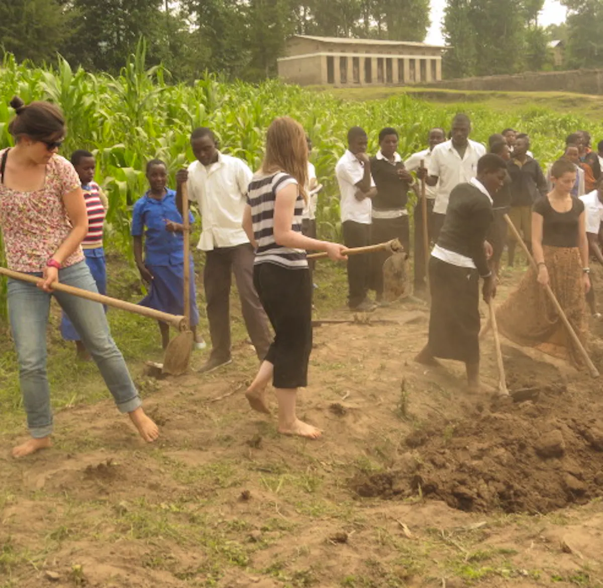 Reforestation Technical Assistant | Volunteer in Rwanda 2025