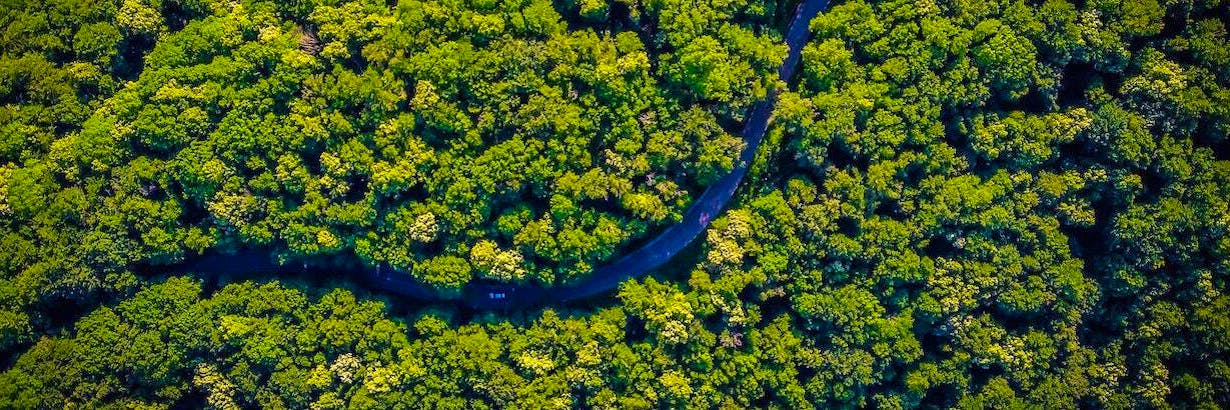 ▷ Amazon Rainforest Volunteer 🌳 Top 10 Projects 2022