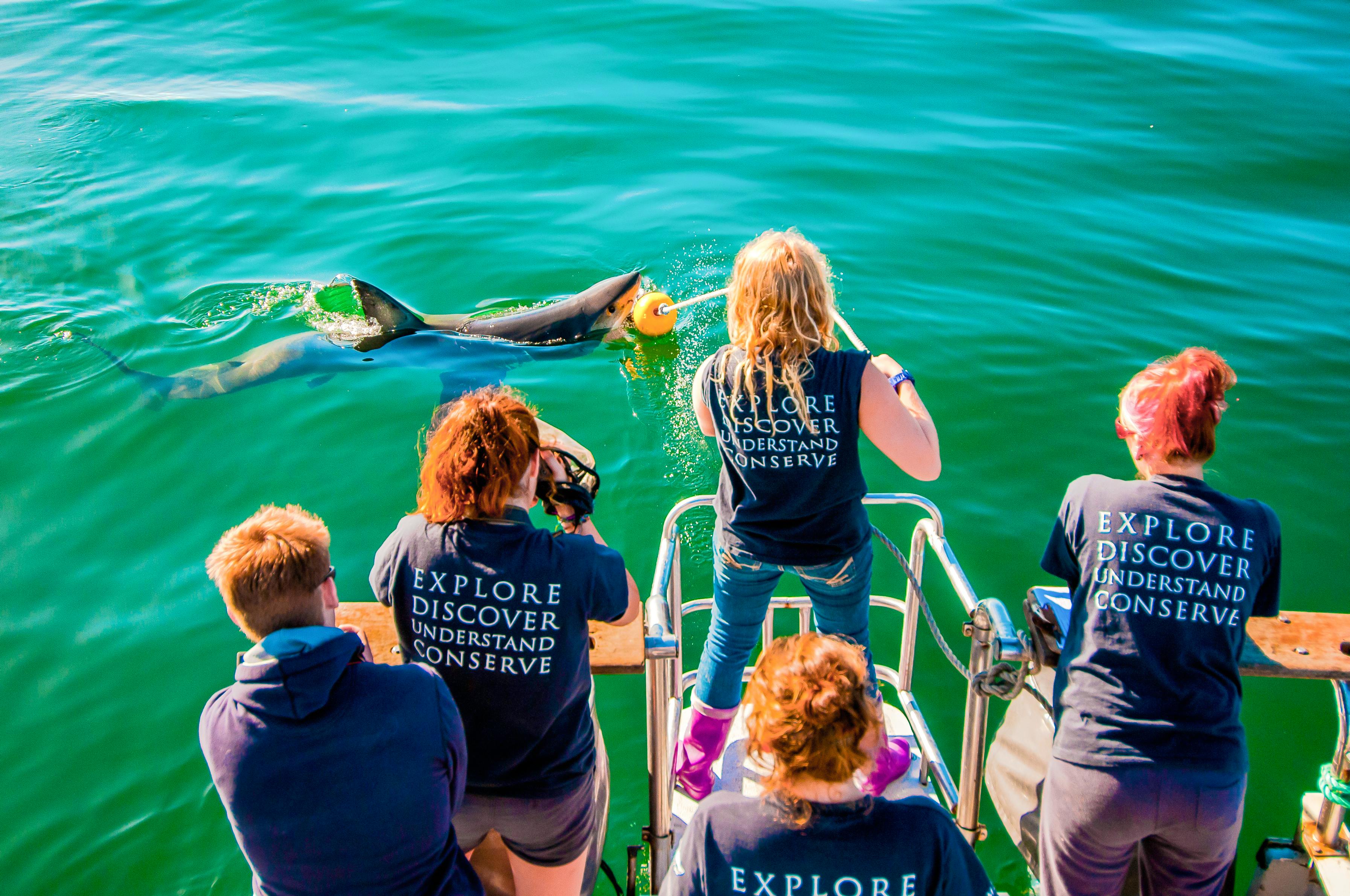 Oceans Research Institute 