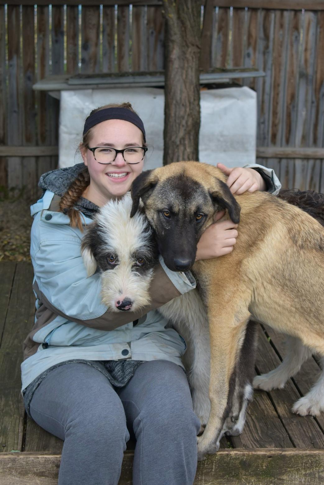 Dog Shelter Support | Volunteer in Romania 2025