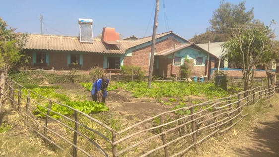 Voluntariado en Zambia Assistant in Agriculture Initiative