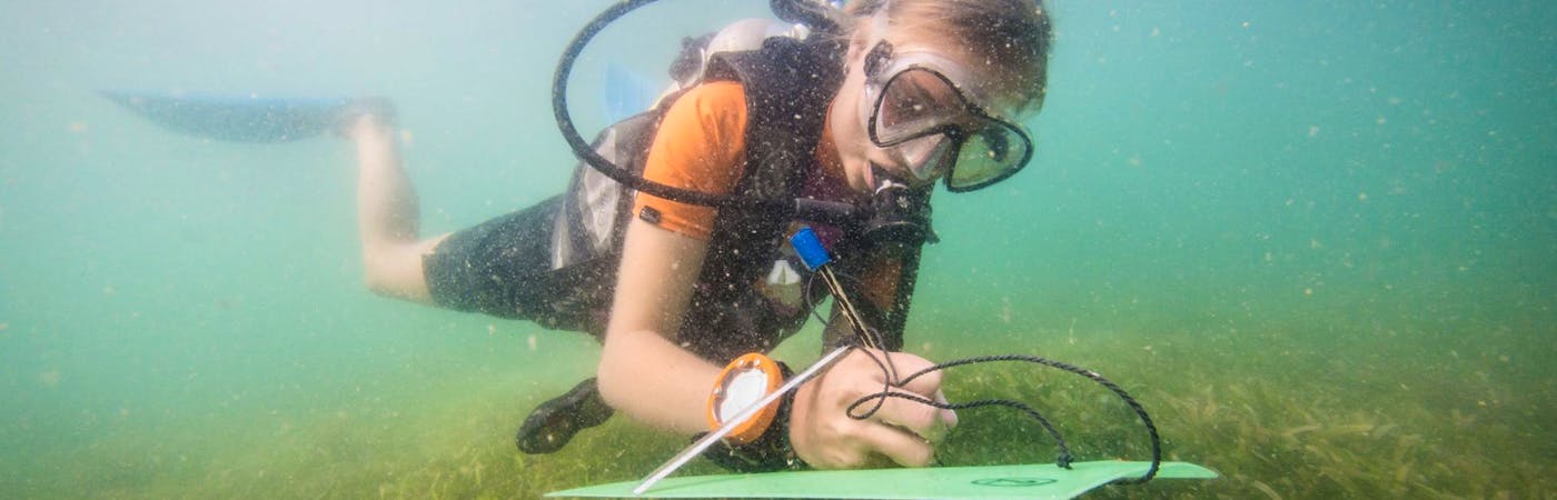 Marine Conservation Cambodia | Volunteer Abroad 2023 | Volunteer World